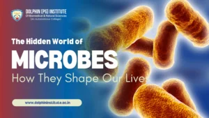 The Hidden World of Microbes How They Shape Our Lives